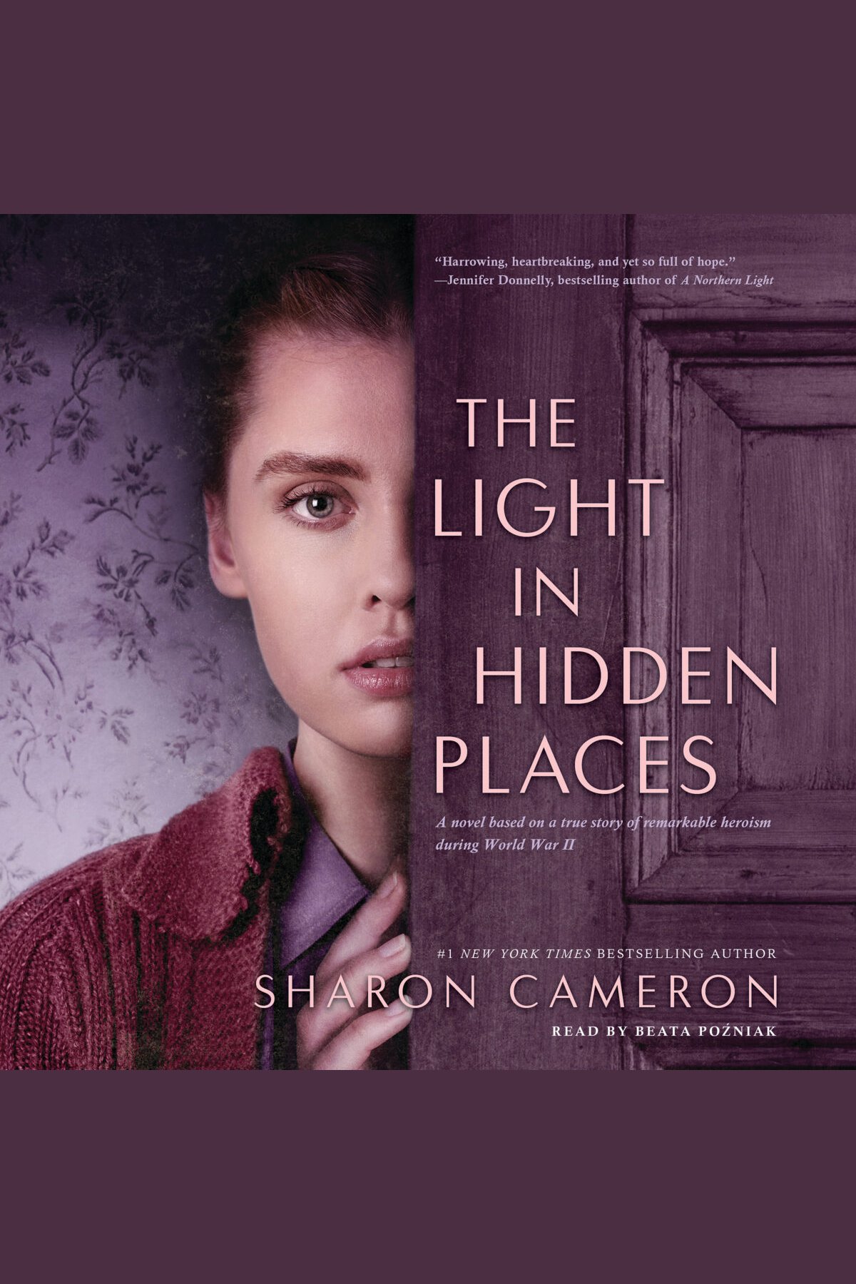 The Light in Hidden Places cover image