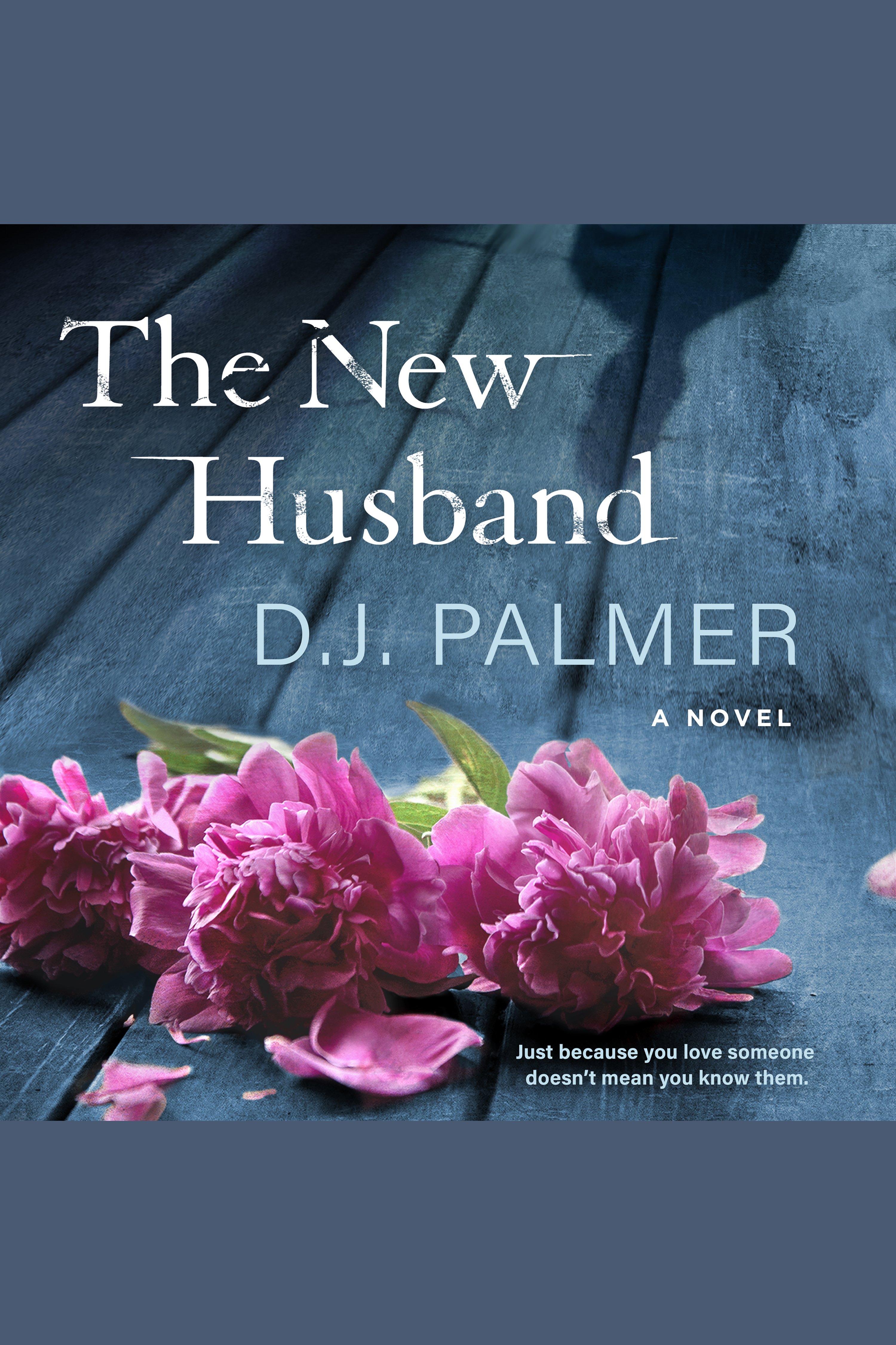 Cover image for The New Husband [electronic resource] :