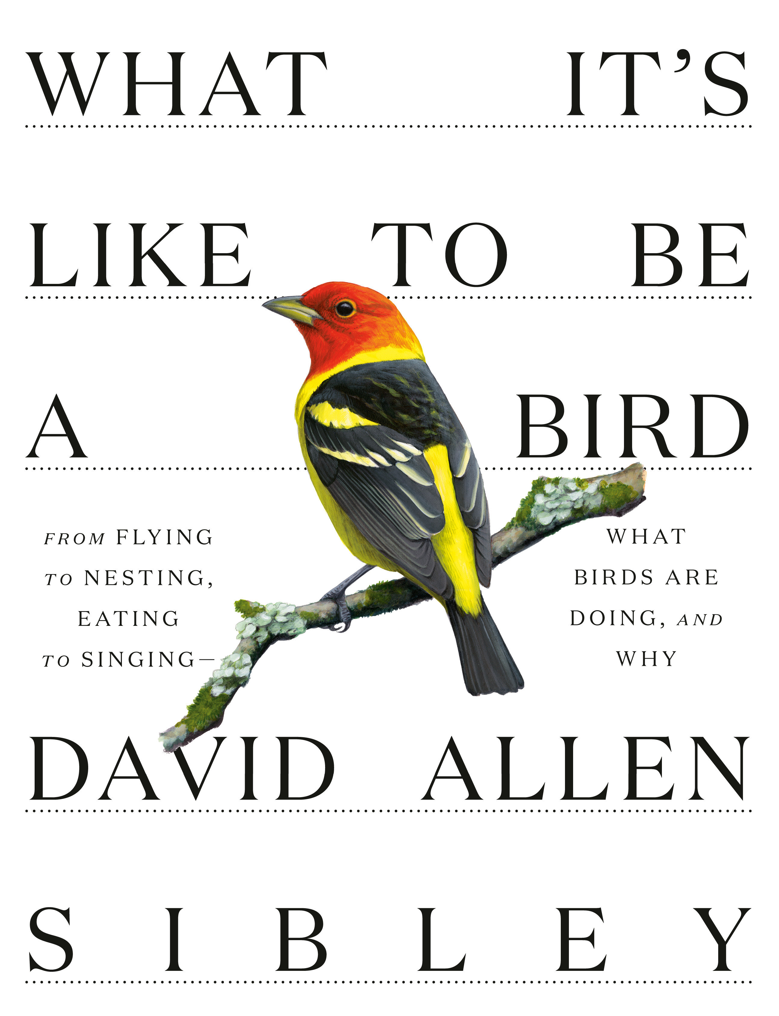 What It's Like to Be a Bird From Flying to Nesting, Eating to Singing--What Birds Are Doing, and Why cover image