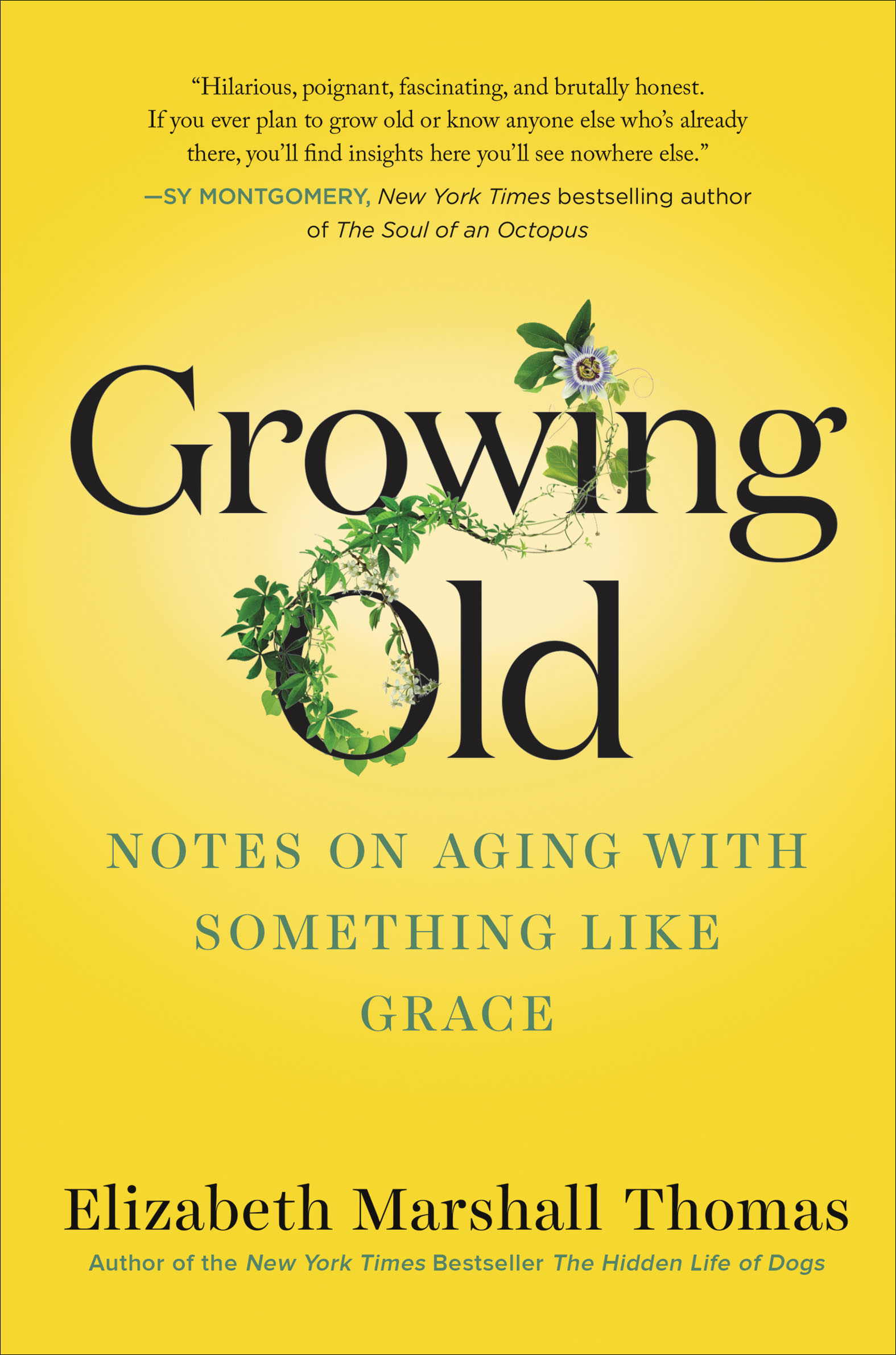 Growing Old Notes on Aging with Something like Grace cover image