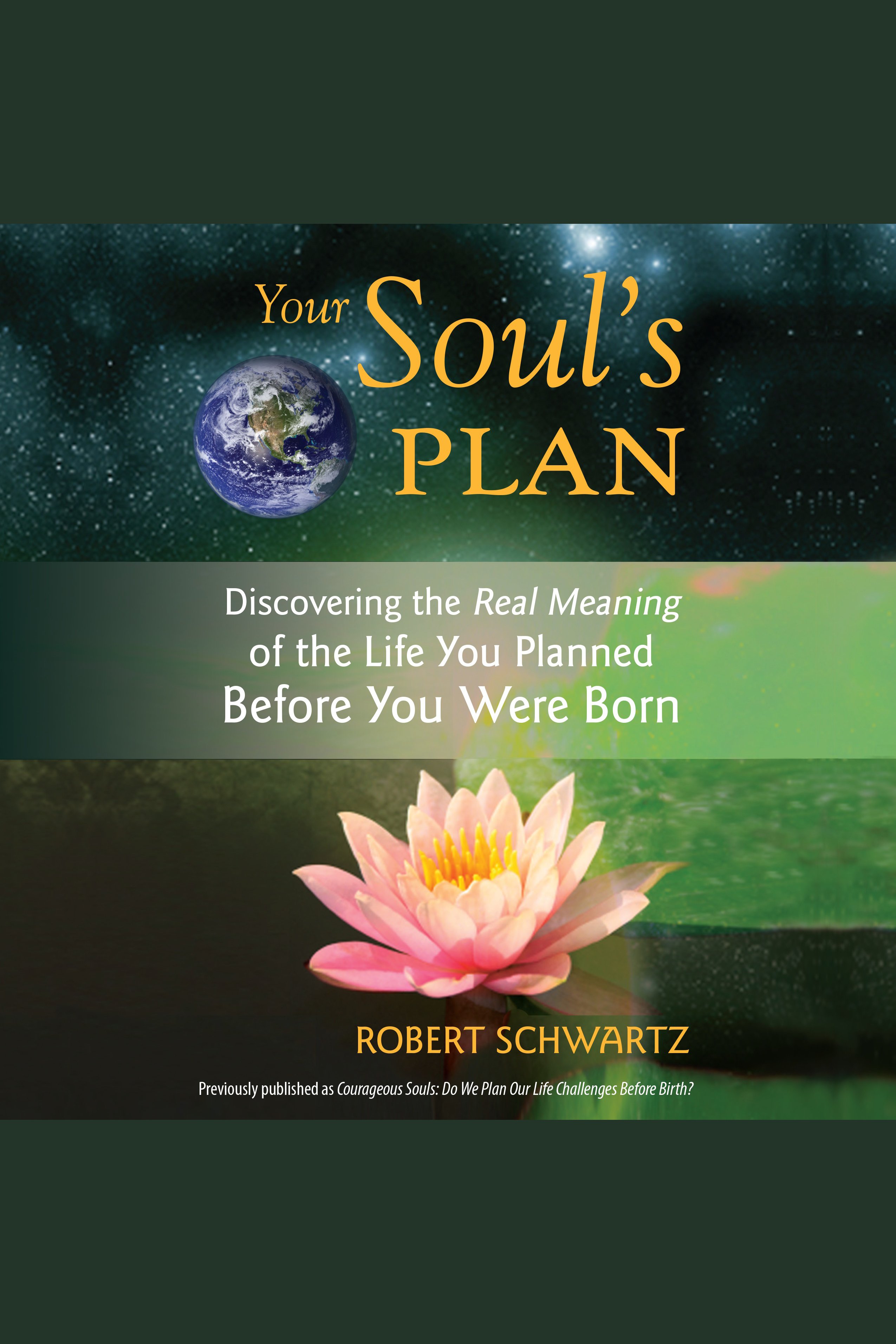 Your Soul's Plan Discovering the Real Meaning of the Life You Planned Before You Were Born cover image