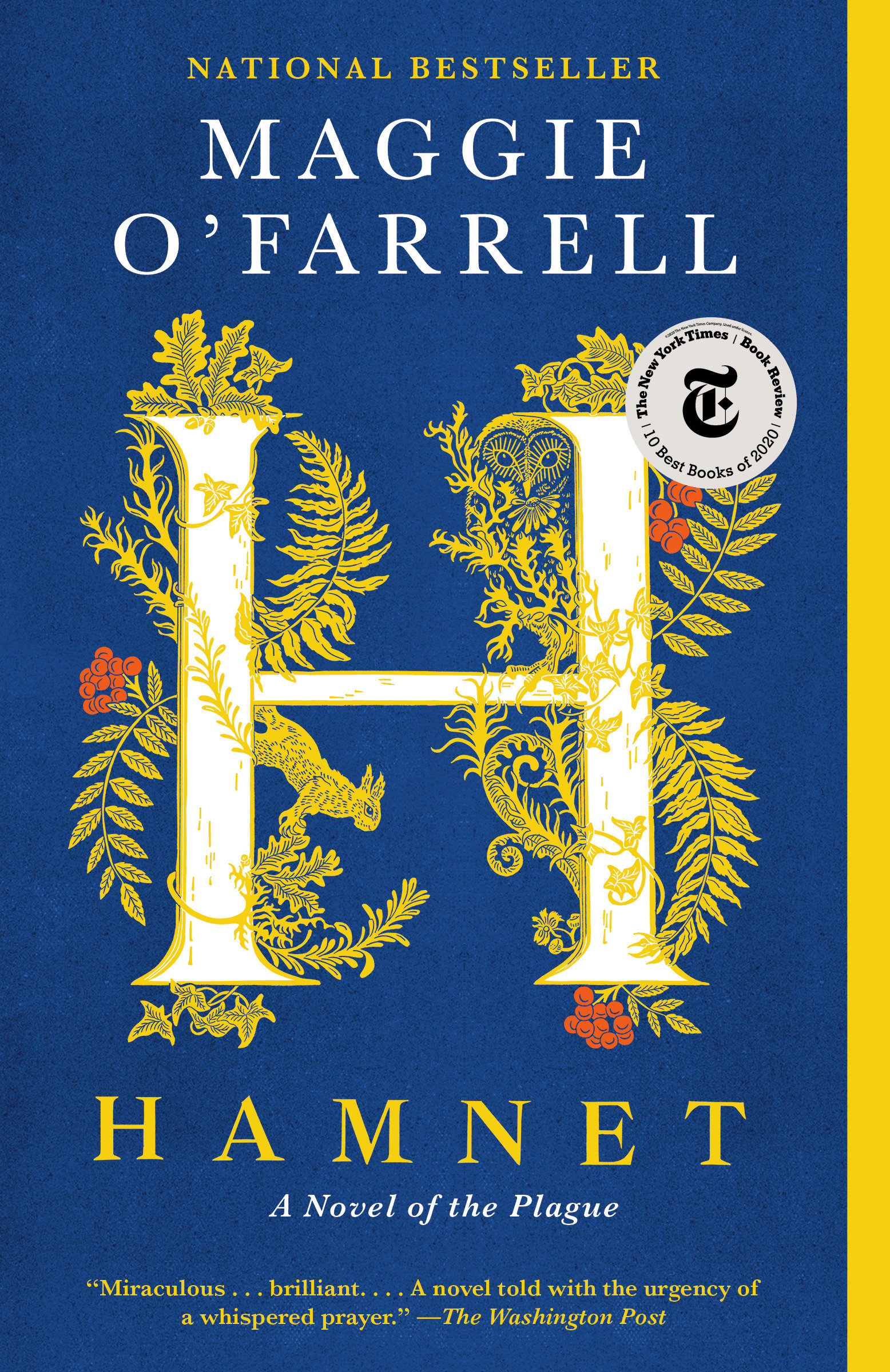 Hamnet a novel of the plague cover image