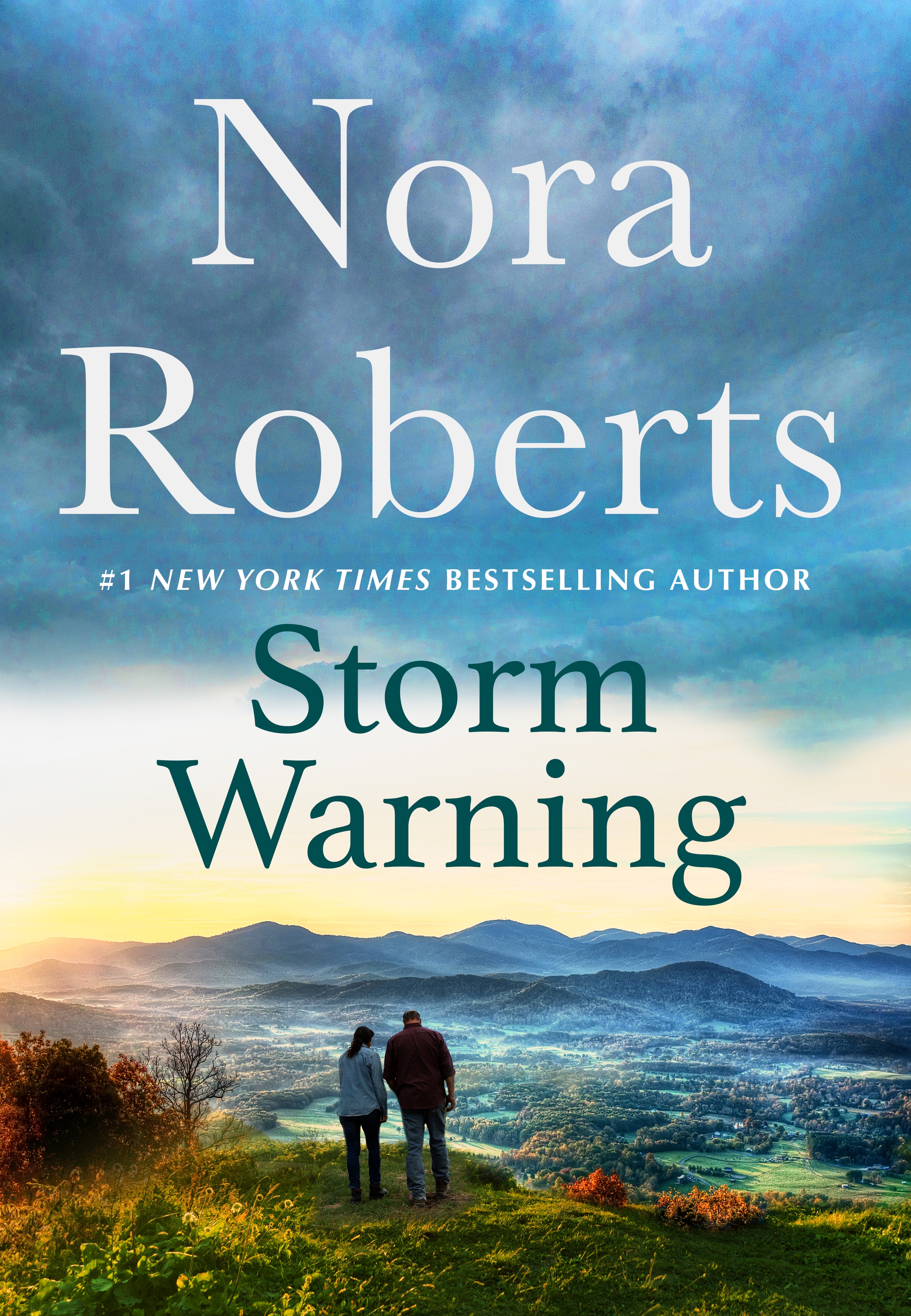 Cover image for Storm Warning [electronic resource] :