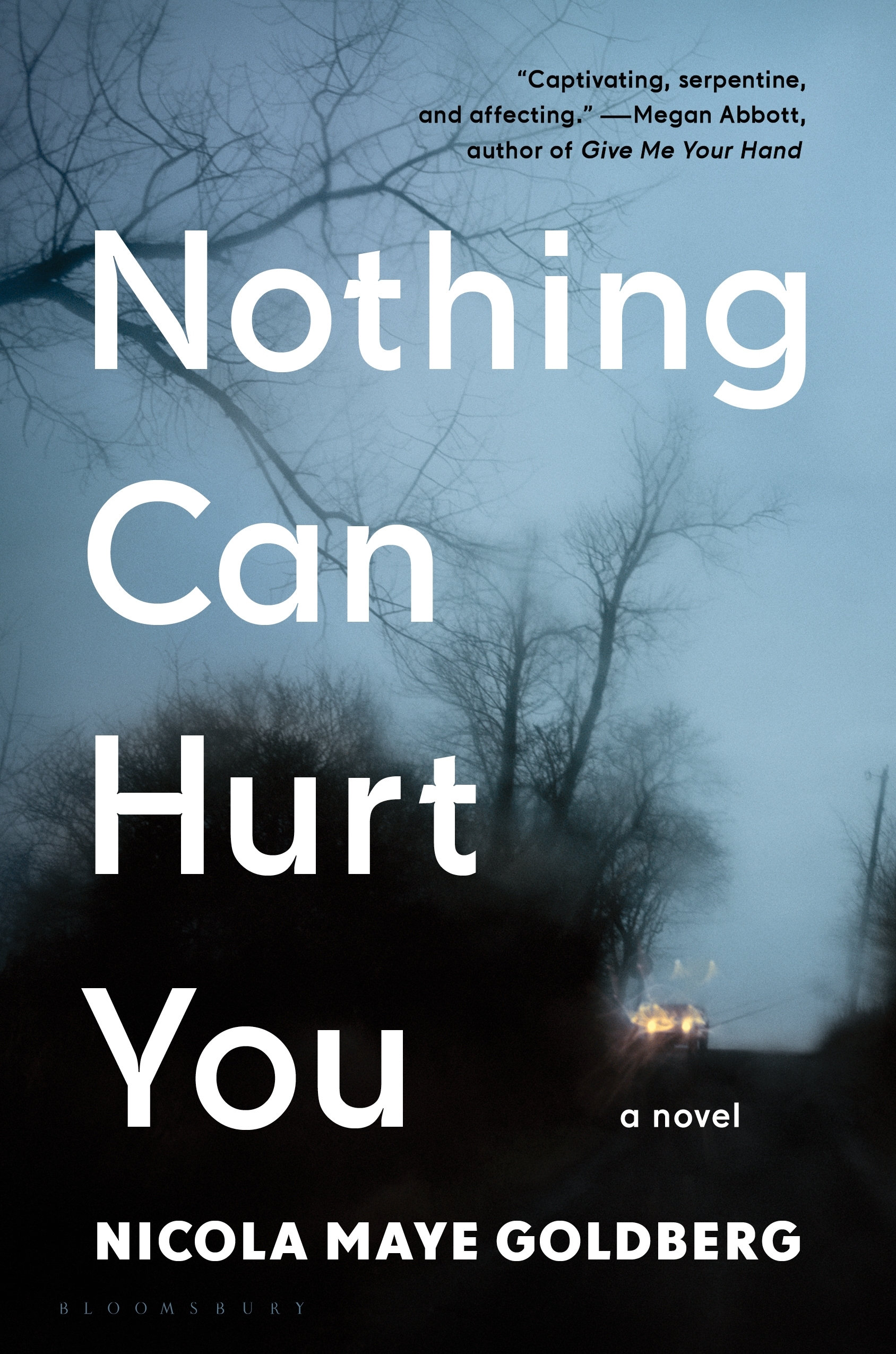 Cover image for Nothing Can Hurt You [electronic resource] :