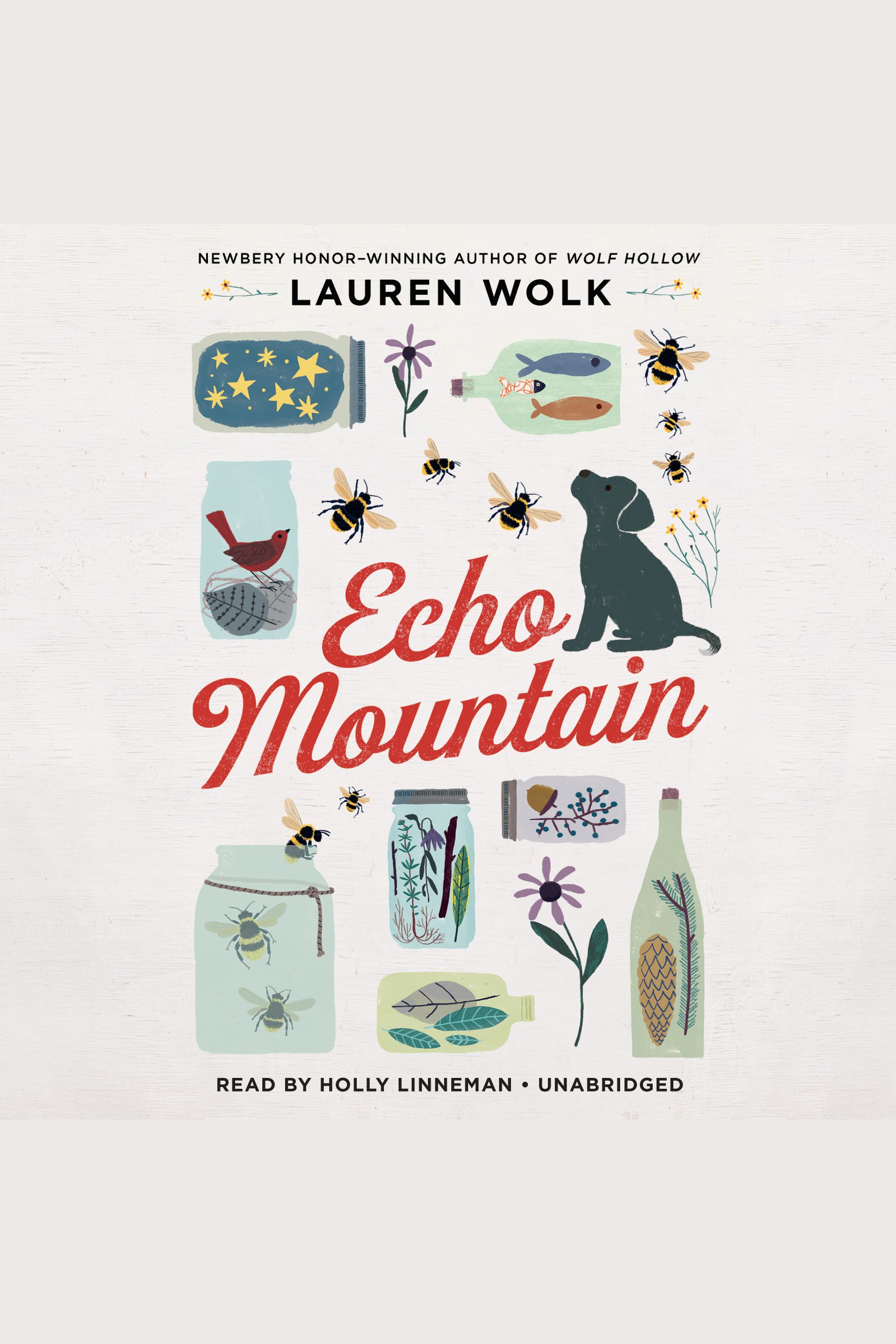 Echo Mountain cover image
