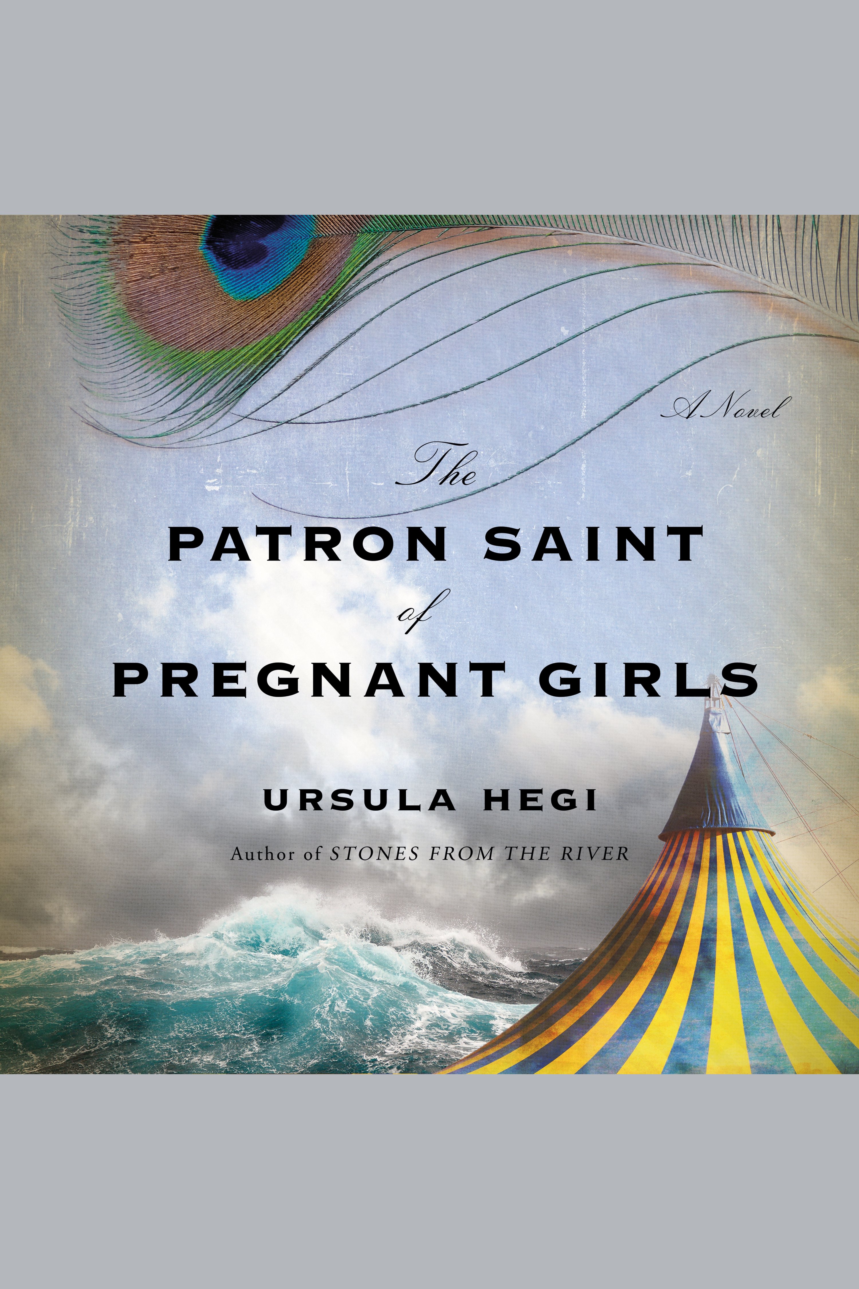 Cover image for Patron Saint of Pregnant Girls, The [electronic resource] : A Novel