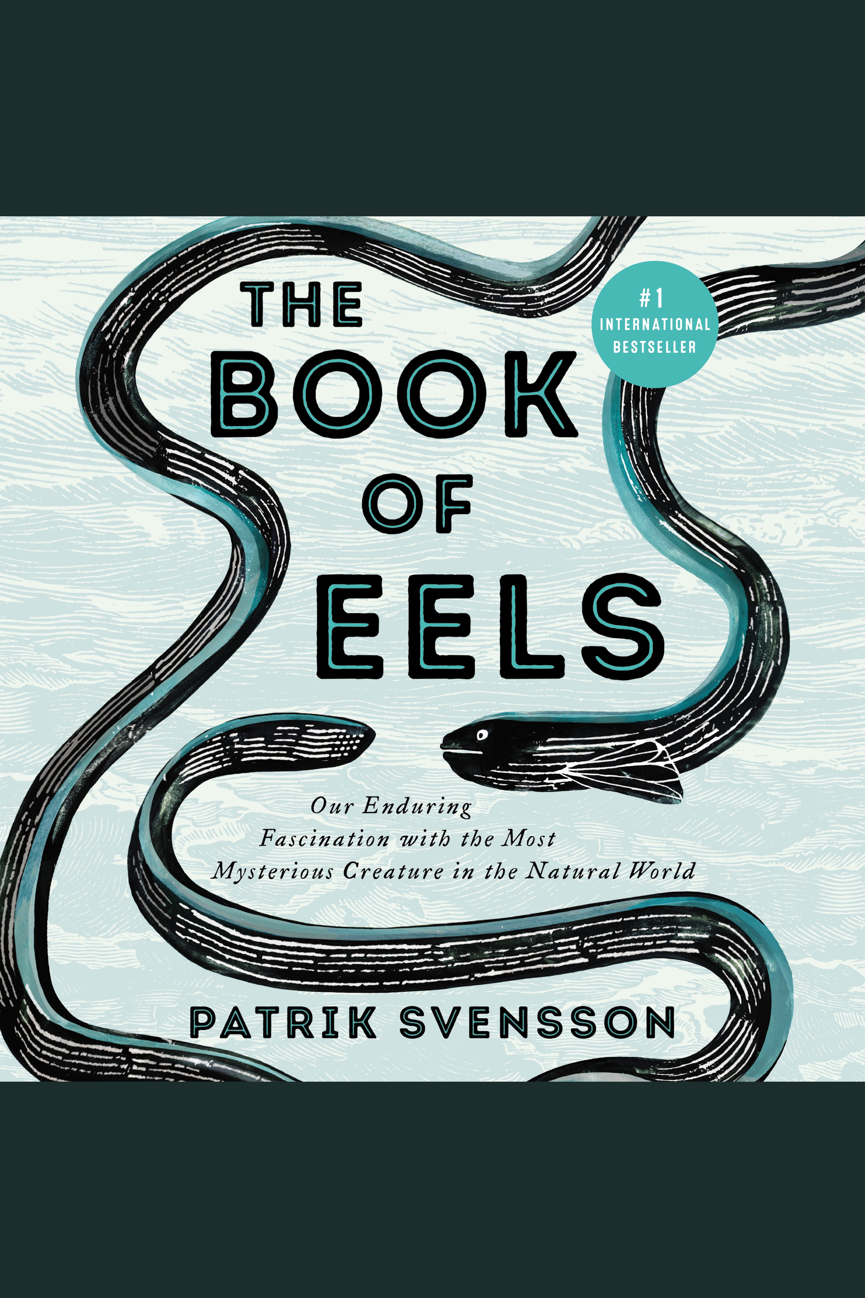 Cover Image of The Book of Eels