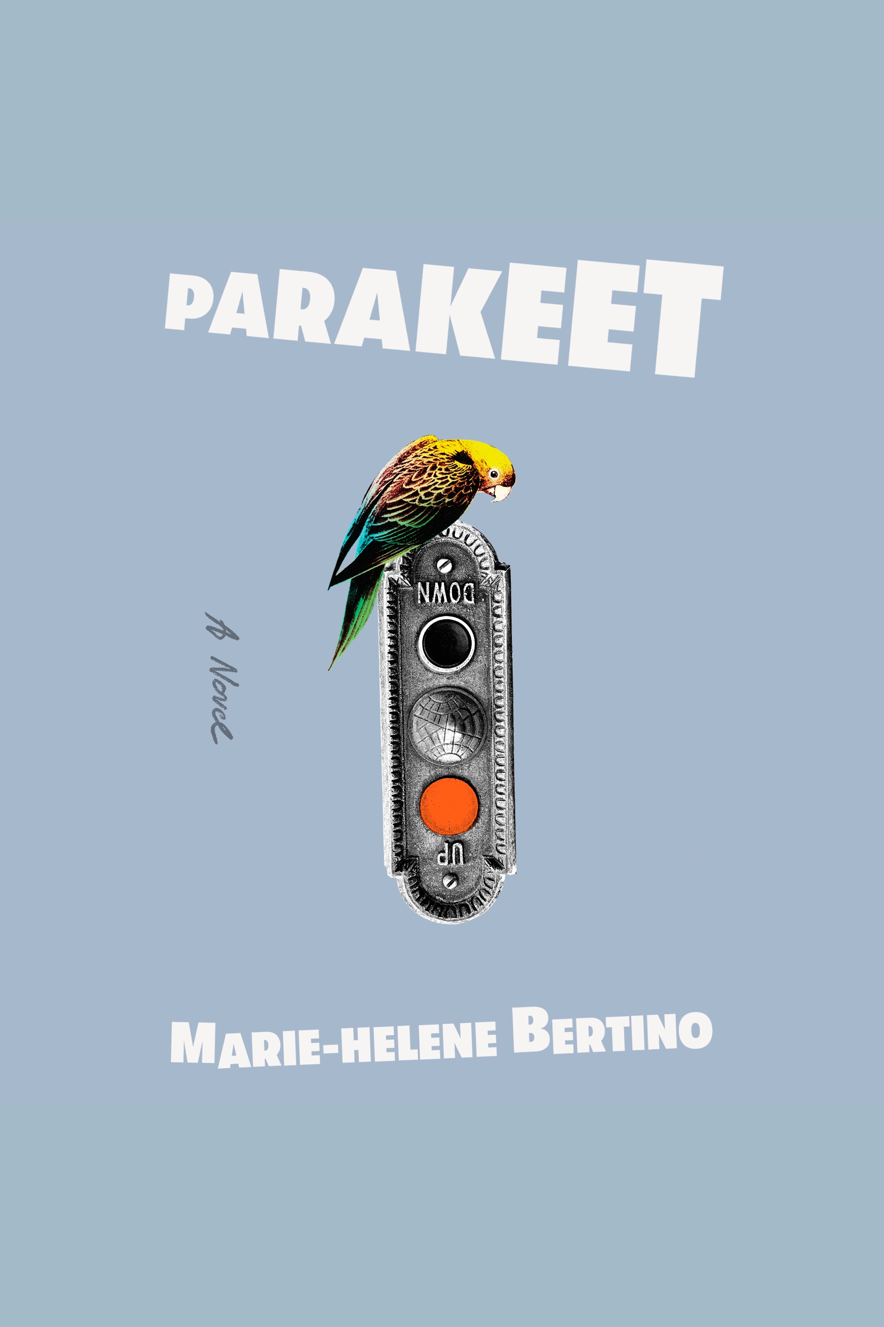 Umschlagbild für Parakeet [electronic resource] : A Novel