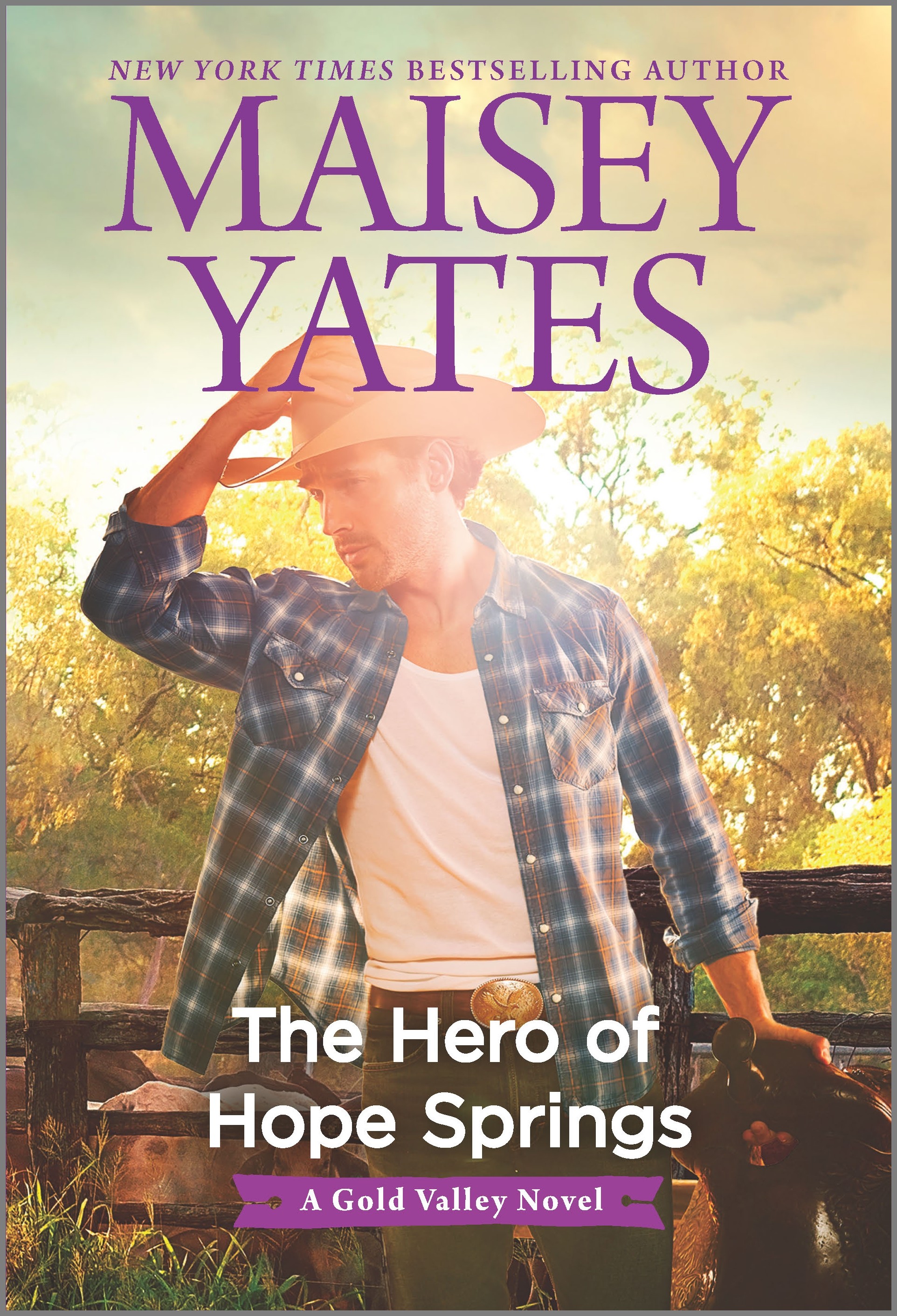 Cover image for The Hero of Hope Springs [electronic resource] :