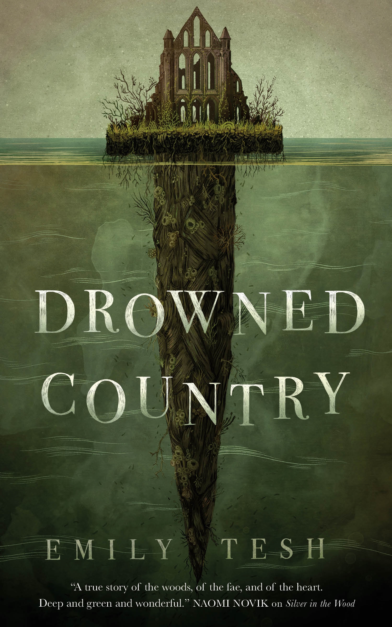 Drowned Country cover image