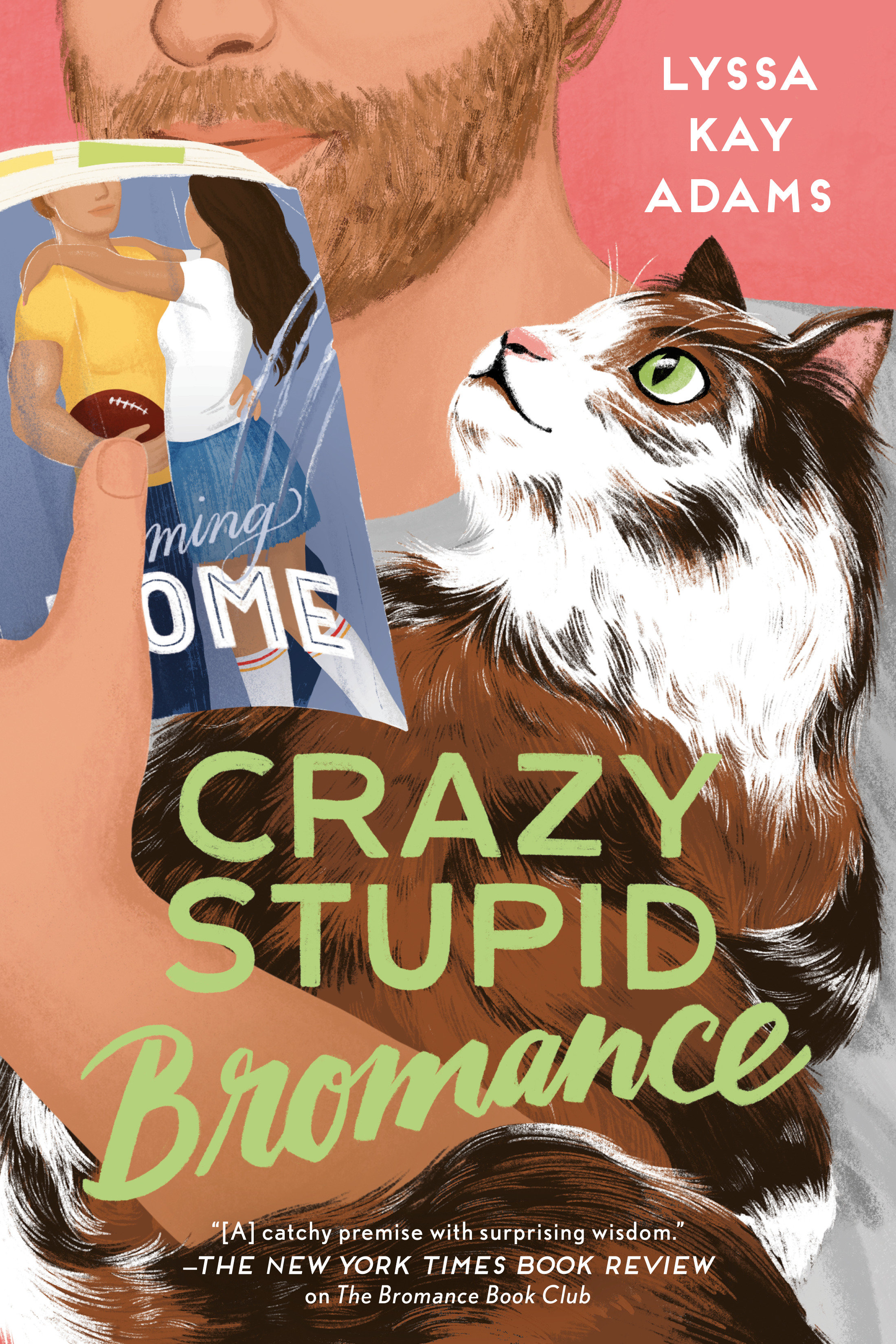 Cover Image of Crazy Stupid Bromance