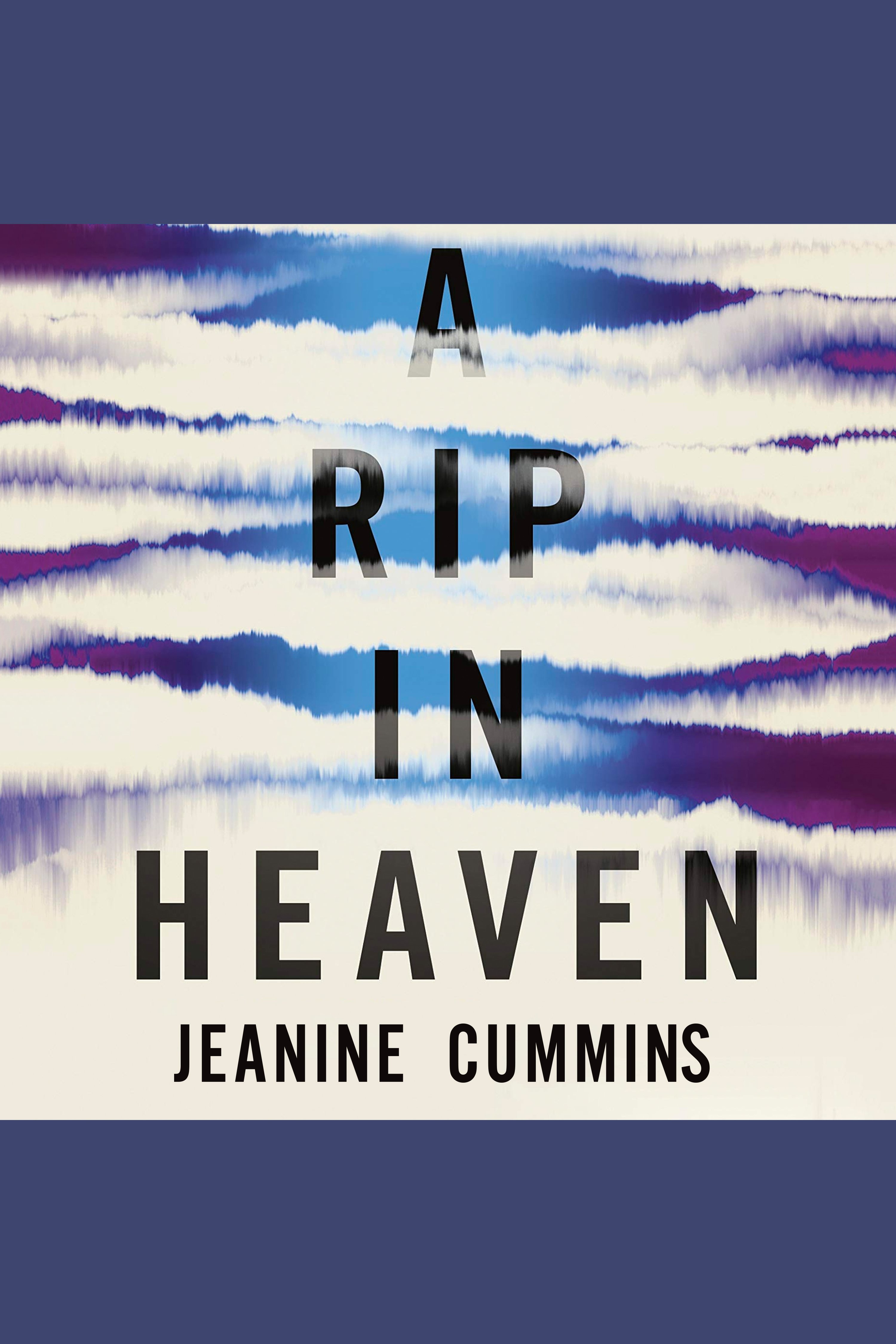 A Rip in Heaven cover image
