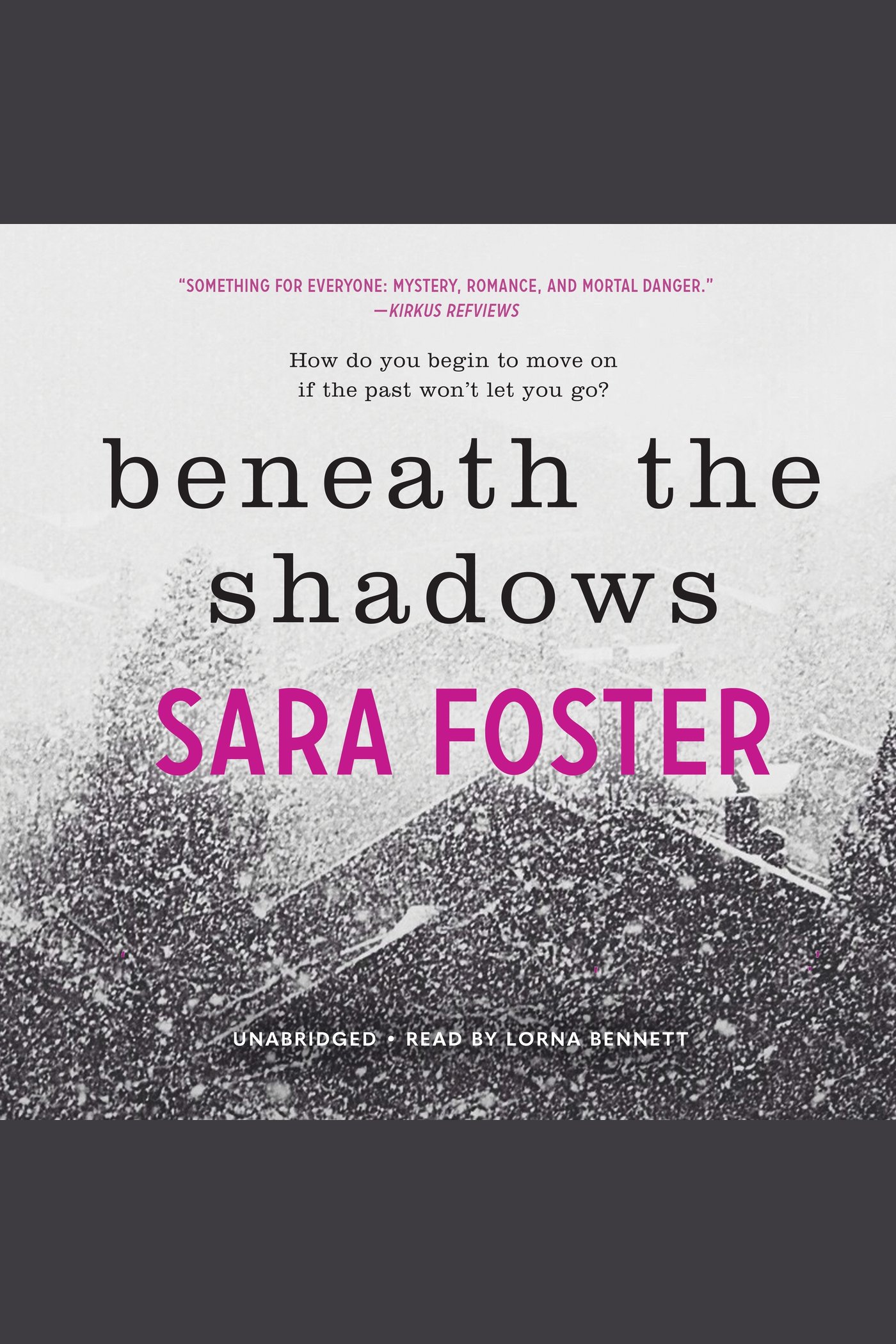 Cover image for Beneath the Shadows [electronic resource] :