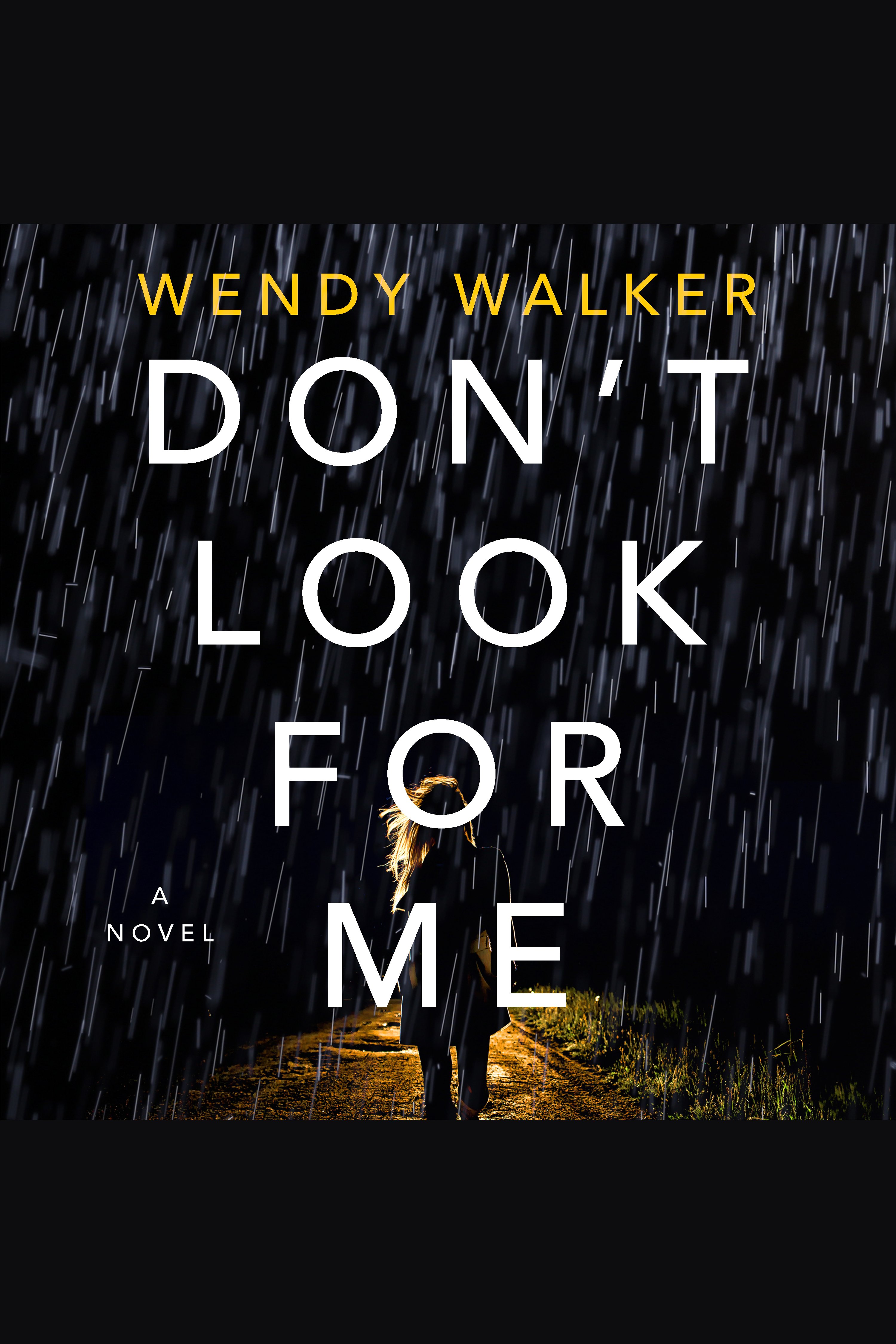 Cover image for Don't Look for Me [electronic resource] : A Novel
