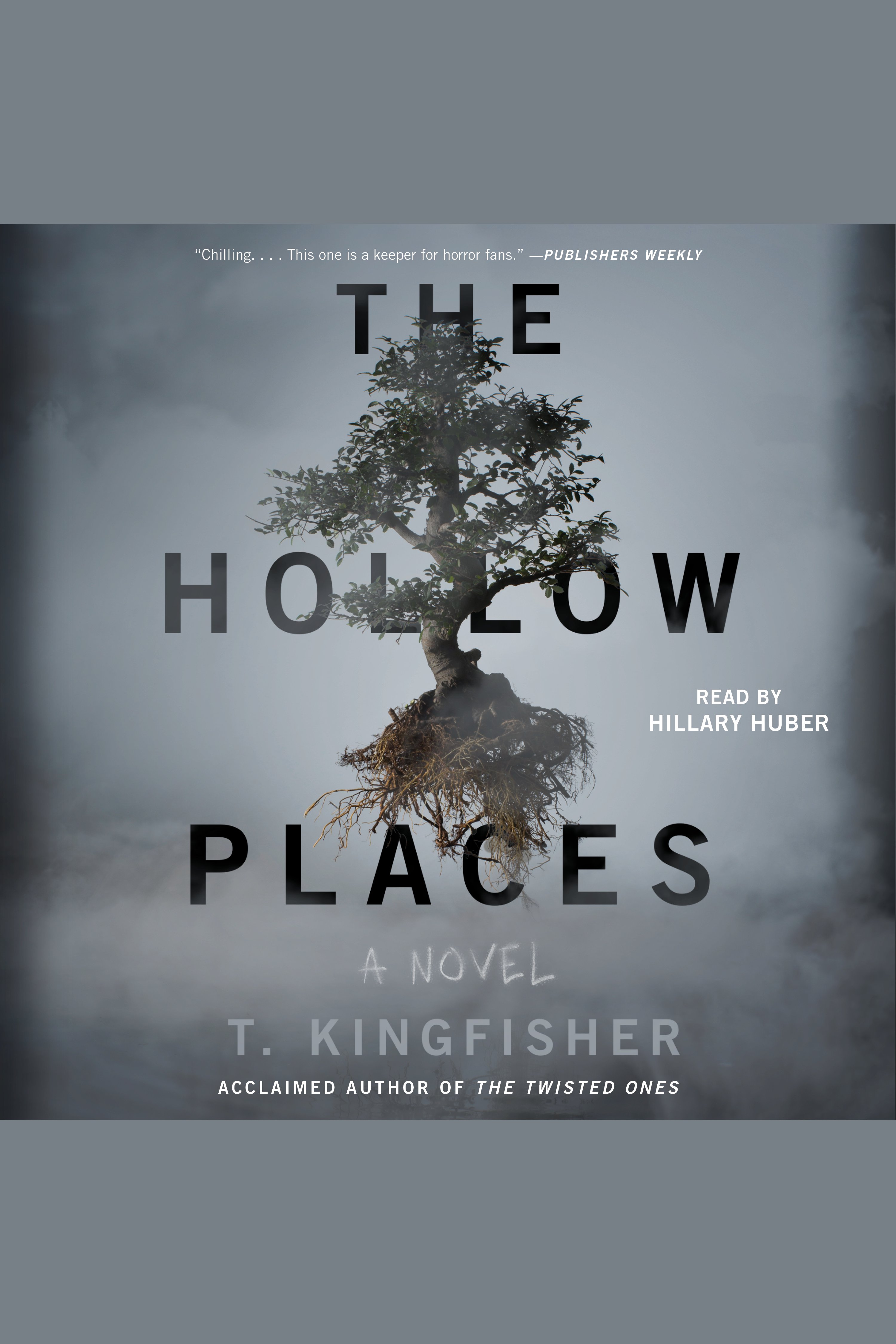 The Hollow Places cover image