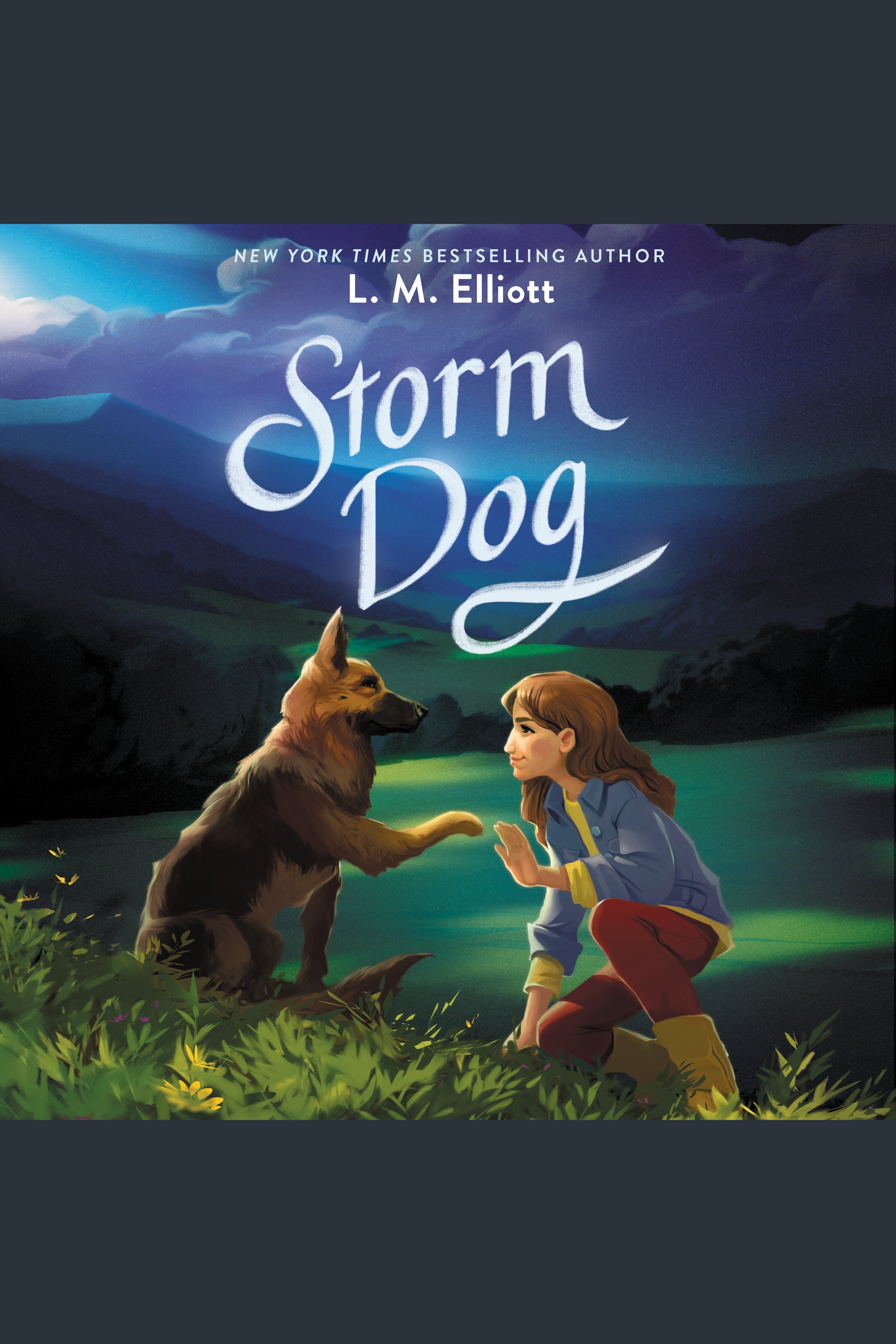 Cover image for Storm Dog [electronic resource] :